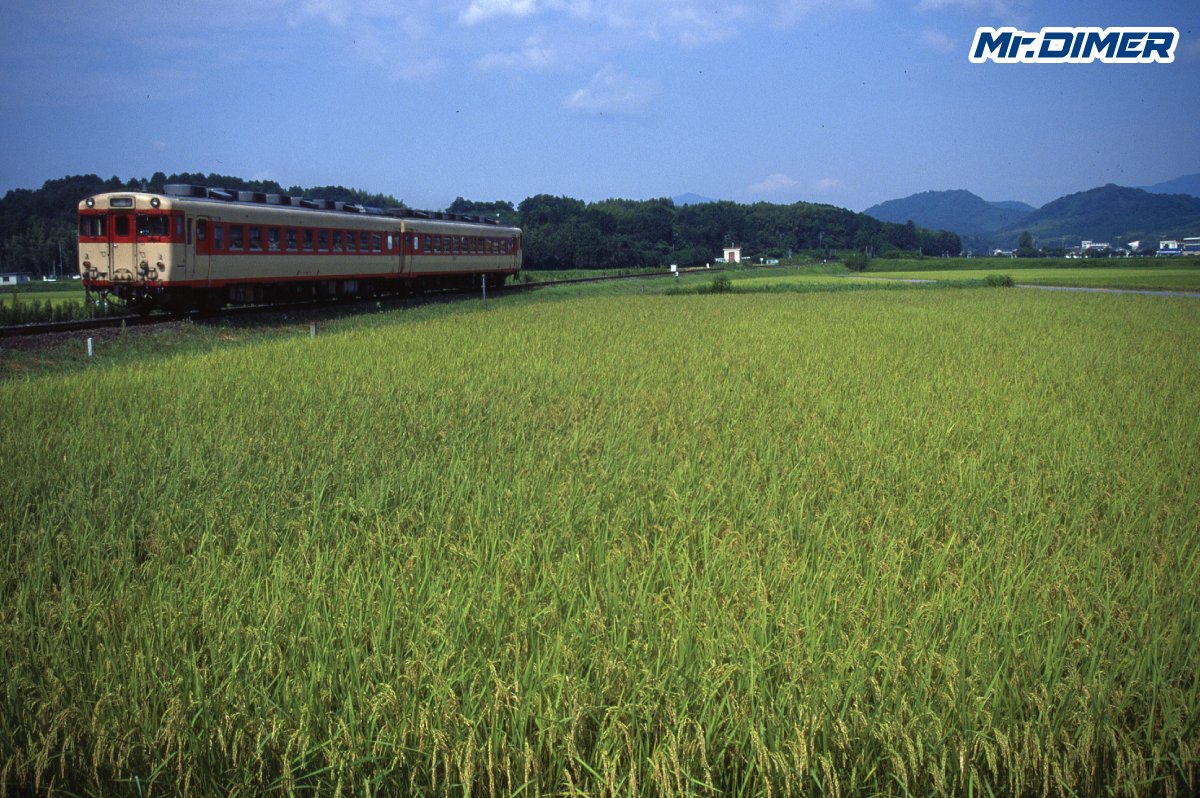MrDIMER_X's tweet photo. 【廃車になったはずなのに】5年後、JR紀勢本線を走っていたキハ58 136

鉄道の話を調べていると、よくこの話題を見かけます。
「国鉄で廃車になり、部品取りとして有田鉄道へ渡ったキハ58 136が、無車籍のまま営業運転に使われ、しかもJR紀勢本線まで走っていた」

実際、136が国鉄で廃車となった後に有田鉄道へ渡り、1992年頃には営業列車としてJR紀勢本線��湯浅まで走っていたことは記録から確認できます。
しかし、「その時も無車籍だった」という部分については、決定的な根拠が確認できません。
つまりこの話、本当に不思議なのは「無車籍の車両がなぜJR線を走れたのか」ではなく、

「そもそも本当に無車籍だったのか」
ということなのです。

国鉄末期の1987年2月10日、分割民営化を目前にキハ58 136は廃車となりました。
1962年に日本車輌で製造され、小郡機関区に新製配置。山口線系統の急行「あきよし」などに使用された後、岩国へ転属して急行「ちどり」などで活躍しました。

1970年度には冷房化され、1983年には亀山へ転属。関西本線や信楽線、片町線、紀勢本線などの普通列車にも使用されます。
しかし国鉄末期にはキハ58系にも余剰が生じ、136はJRへ継承されることなく廃車となりまし���。
本来なら、ここでこの車両の話は終わるはずでした。

ところが廃車後、キハ58 136は同じく廃車となったキハ58 86とともに、和歌山県の有田鉄道へ渡っています。
当時の有田鉄道には元富士急行のキハ58001などが在籍しており、藤並から国鉄、後のJR紀勢本線へ乗り入れ、湯浅まで走る列車も存在していました。

136と86については、このキハ58001などを維持するための「部品取り車」として譲渡されたとする説明が広く知られています。
ところがキハ58 136には、それだけでは説明しにくい記録が残っています。

1992年。
キハ58001とキハ58 136を組んだ編成が、実際に営業列車として走っているのです。

『旅』1992年9月号には、藤並8時48分発の列車に136が入った記録があります。
さらに当時の映像には、有田鉄道線内だけでなく、JR紀勢本線へ乗り入れ、湯浅まで走る136の姿も残されています。

1987年に国鉄で廃車となったキハ58が、その5年後、今度は有田鉄道の列車としてJR西日本となった紀勢本線を再び走っていたことになります。
では、この時の136はどのような扱いだったのでしょうか。
ここで重要なのが、「国鉄で廃車になった」ことと「有田鉄道でも無車籍だった」��とは同じではないという点です。

国鉄での車籍がなくなった後、譲渡先で営業車として使用するための手続きが行われていたのであれば、国鉄時代の廃車歴とは何も矛盾しません。

しかし現在確認できる資料からは、有田鉄道へ渡った後の136について、どのような手続きが行われ、1992年当時どのような車籍上の扱いだったのかまでは確認できません。
さらに資料によっては、136について「一時期運用された後、部品取りになった」とする記述もあります。

もしこちらが正しければ、話は大きく変わります。

「部品取りの無車籍車を営業運転に使った」のではなく、

「営業に使用されていた車両が、その後部品取りになった」
という可能性が出てくるからです。
そして1992年、有田鉄道のJR紀勢本線への乗り入れは終了しました。

キハ58 136��湯浅まで走った姿は、国鉄時代から続いてきた有田鉄道の本線乗り入れ、その最後期に残された光景でもあります。

「無車籍の部品取り車がJR線を走った」
よく見かけるこの話ですが、現時点でそこまで言い切れる資料は見つかりません。

ただ、それでこの話の面白さが薄れるわけではありません。

1987年、国鉄で廃車。
その5年後の1992年。
キハ58 136は、再び紀勢本線を走っていました。

国鉄時代には自らの所属する鉄道の線路だった場所を、今度は有田鉄道から乗り入れてきた車両として走る。
その間に国鉄はなくなり、線路の名前はJR西日本へ変わっていました。

なぜ136が営業列車に使われたのか。
その時、正式にはどのような扱いだったのか。
まだ分からない部分は残っています。

それでも映像には、キハ58001と編成を組み、乗客を乗せて紀勢本線を走る136の姿が確かに残っている。

車歴表だけを見れば、1987年2月10日で終わった一両。
しかし、その「廃車」の5年後にも、キハ58 136は確かに走っていた。

だからこの車両は、今でも時折語られるのかもしれません。

（マイミー）