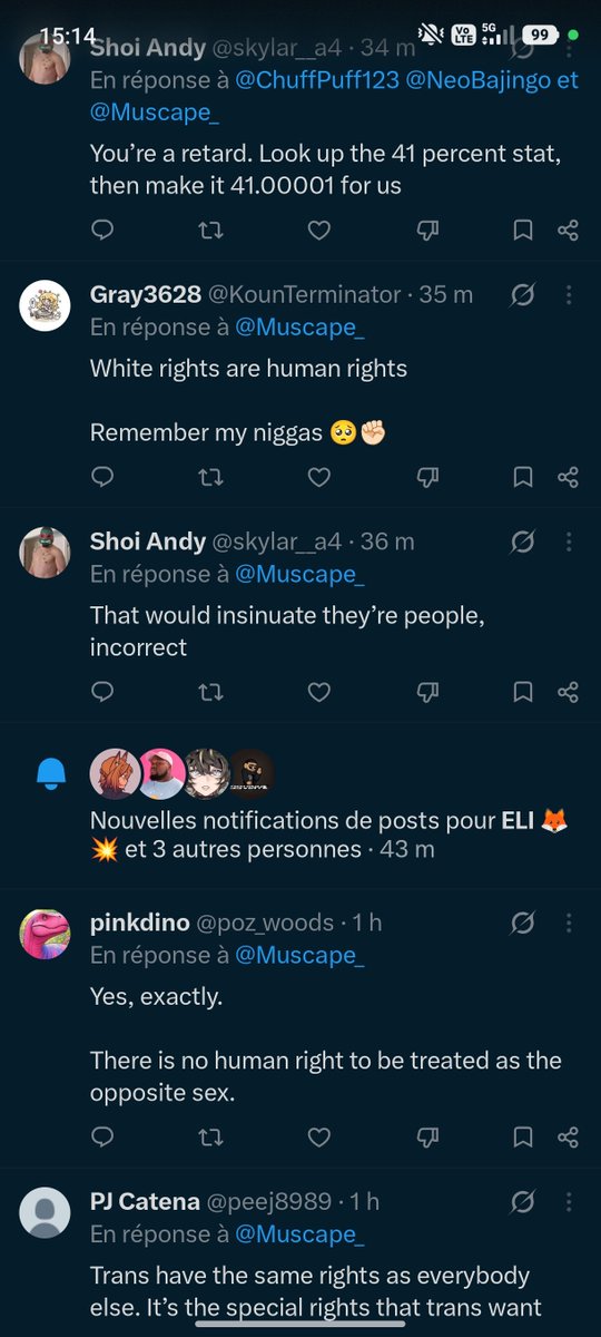 Muscape_ tweet picture