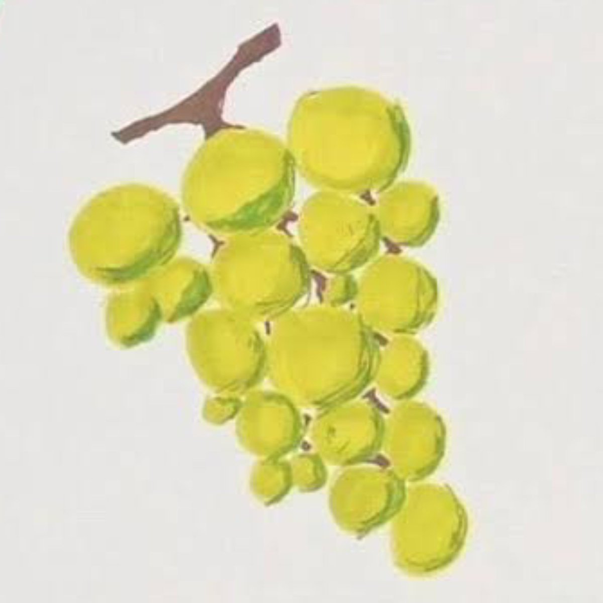 yeonbamdiary's tweet photo. beomgyu's grape drawing 🤝 beomgyu's fashion design https://t.co/CFRLSXPOwf