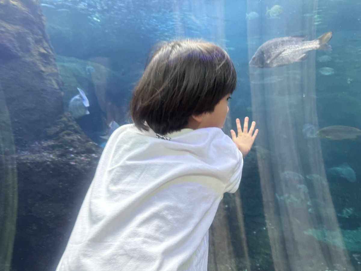 omichimai's tweet photo. 文章を黙読する時に
聞こえてくる声。

モモには
私の声が聞こえてるそうだ。

りんりんにも
「最近ちょっと
マイの声が聞こえる。」
そうだ。

もしそれが本当なら
本読みをこれまで続けてきて
良かった。

今夜は
『目の見えない人は世界をどう見ているのか』 https://t.co/zdgk28NoO7