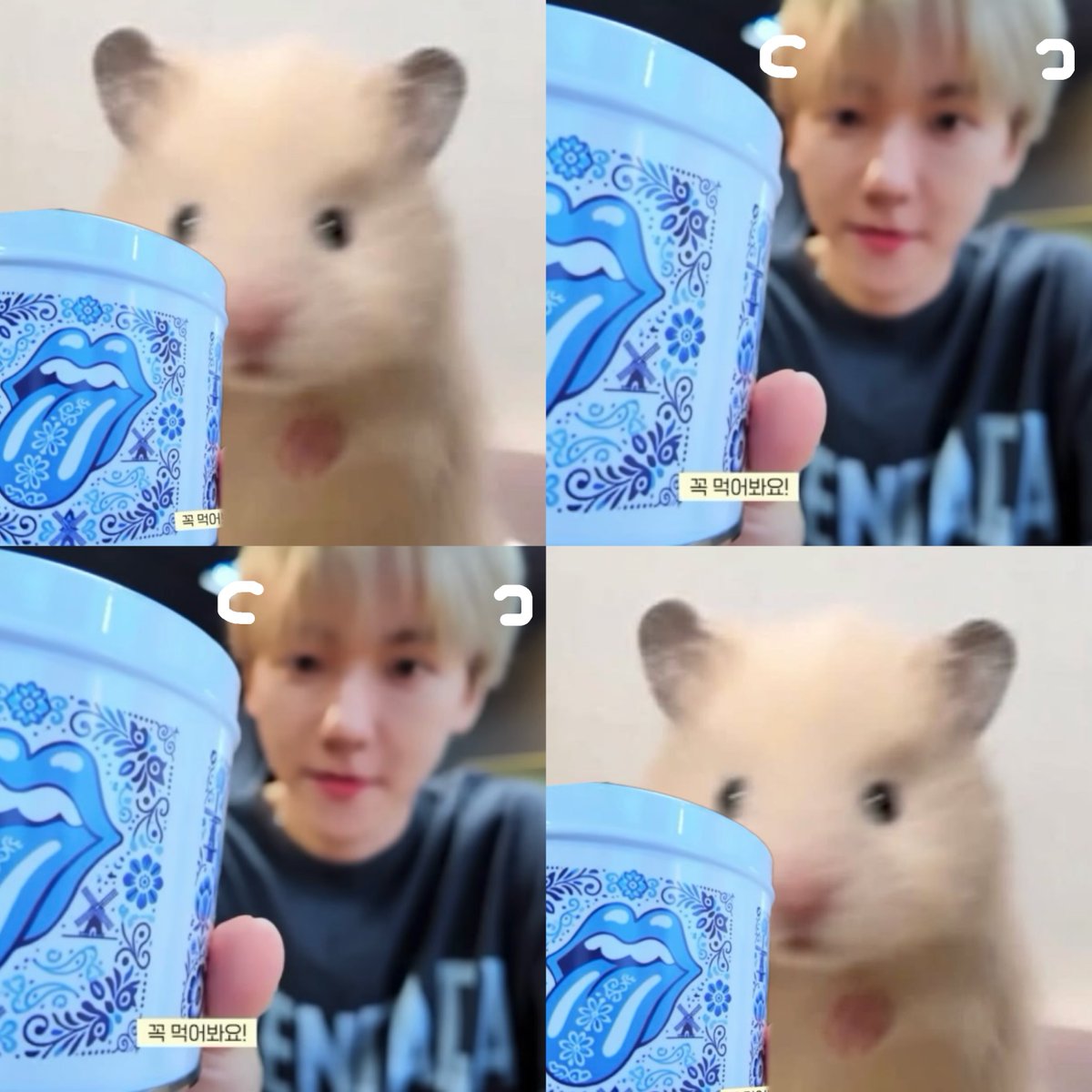 design_by_b04's tweet photo. 🐹🐶🐹🐶 https://t.co/Q29slI8eyy