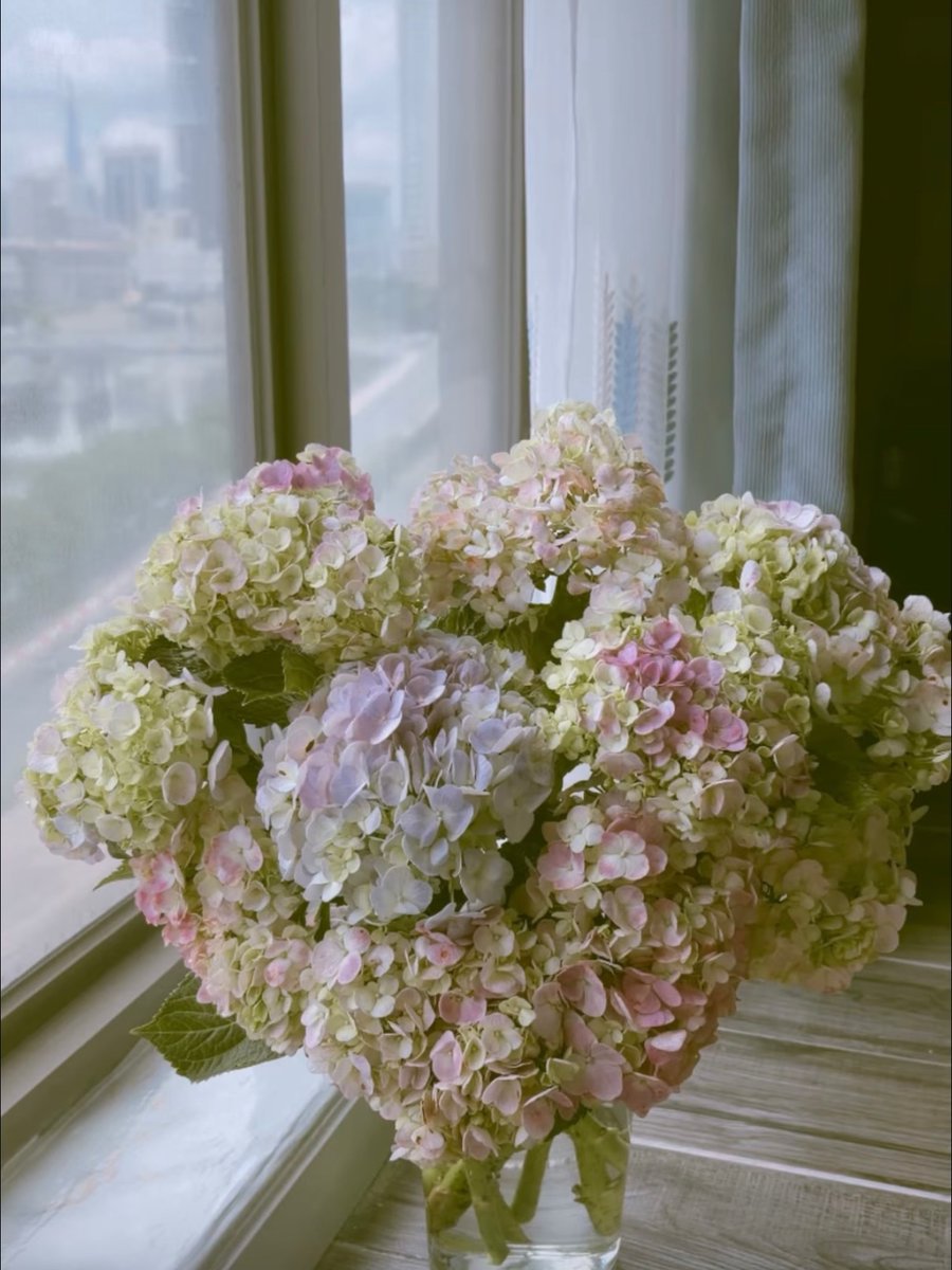 Pthoa3323's tweet photo. September, you were a lot. Long days, busy work, full calendars—but also flowers, good food, coffee, beautiful places, and little moments that made everything feel lighter. A recap of the joys I almost missed. https://t.co/YHLOyVsmU4