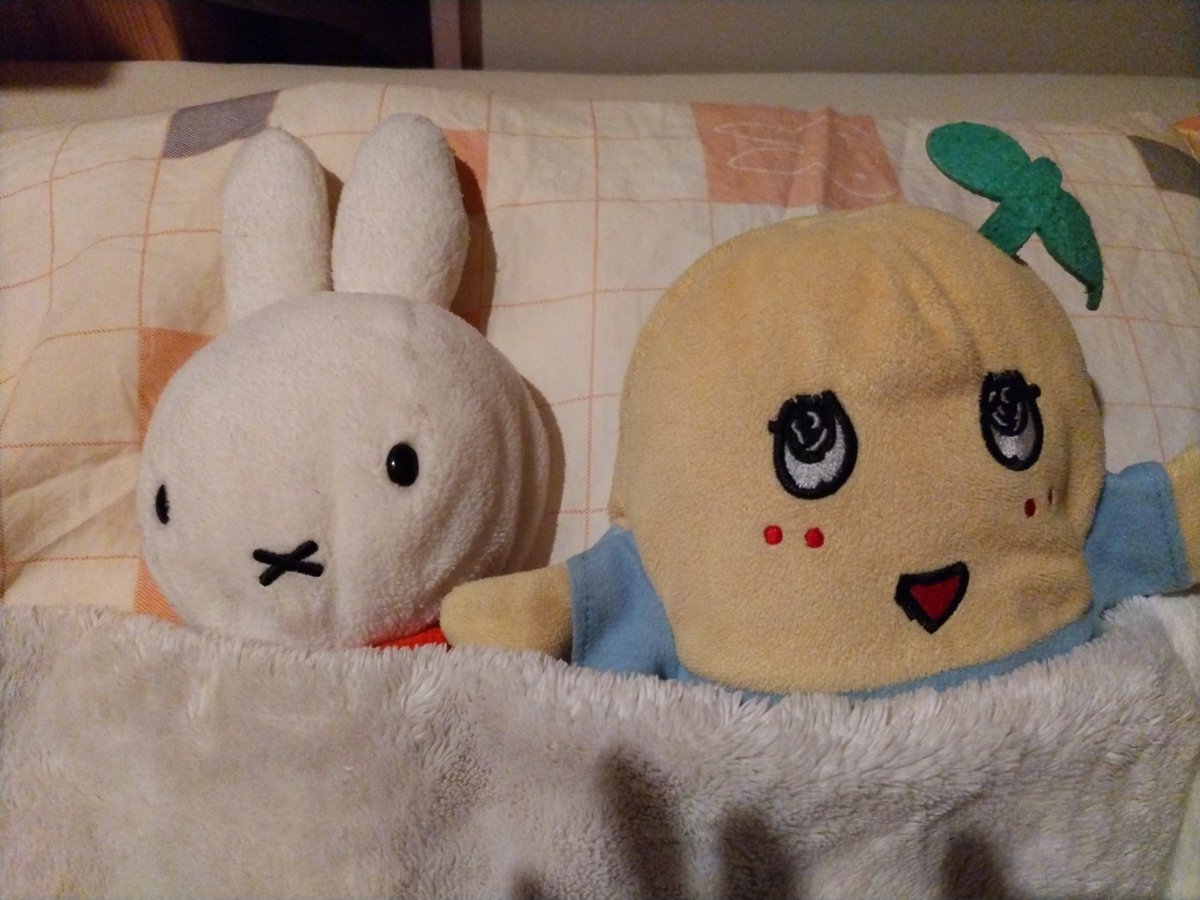 ofukuhaha's tweet photo. うさこちゃんとふなっしーと一緒に寝ようとしてました…

【ひとり解説】まだ辞めない！！高市首相、梁和生農相の続投支持　古謝知事、ぶら下がり当初予定せず！

https://t.co/LtbwTAZlEw https://t.co/apXsXsSY6Y