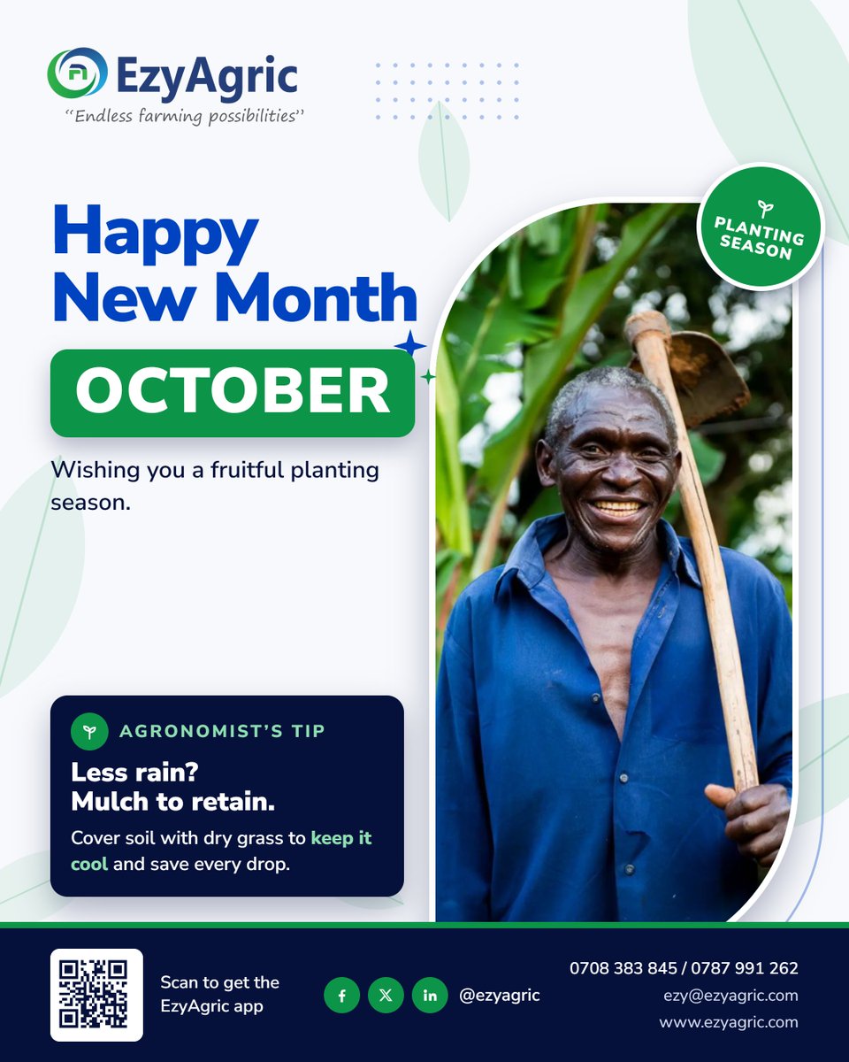 ezyagric's tweet photo. October is here, planting season is clear! 🌧️🌱

Less rain? Cover your soil with dry grass today, keep it cool, and don’t let moisture drift away!

📲 Get certified seeds &amp; expert tips on the @ezyagric  app.
 📞 0708383845
#EzyAgric #PlantingSeason #HappyNewMonth #SmartFarming https://t.co/G3nUlOvnKU