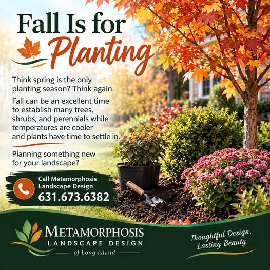 MetaLandscape's tweet photo. 🌿 Fall Is for Planting

Think spring is the only planting season? Think again. Fall can be an excellent time to establish many trees, shrubs, and perennials while temperatures are cooler and plants have time to settle in. Planning something new for your landscape? 631.673.6382 https://t.co/oPv3OBpCGS