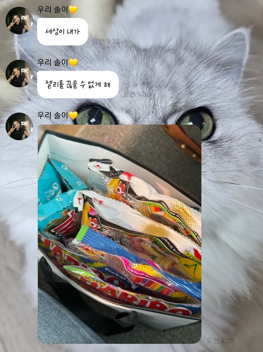 sublae4's tweet photo. 260929  bjs 🫧

🐤: 🐰
맨날 젤리 먹는다고 머라하면서~~
나한테 젤리 이만큼이나 줌 https://t.co/S1akHI0Uwv