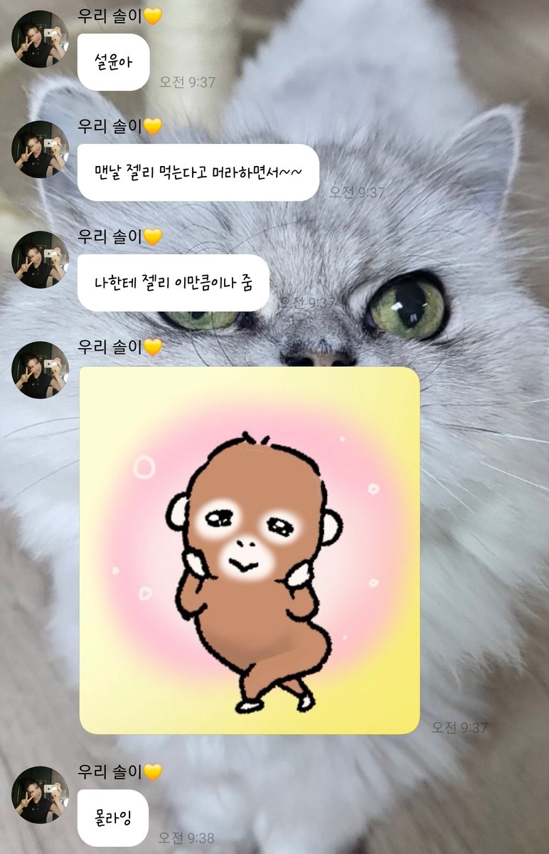 sublae4's tweet photo. 260929  bjs 🫧

🐤: 🐰
맨날 젤리 먹는다고 머라하면서~~
나한테 젤리 이만큼이나 줌 https://t.co/S1akHI0Uwv