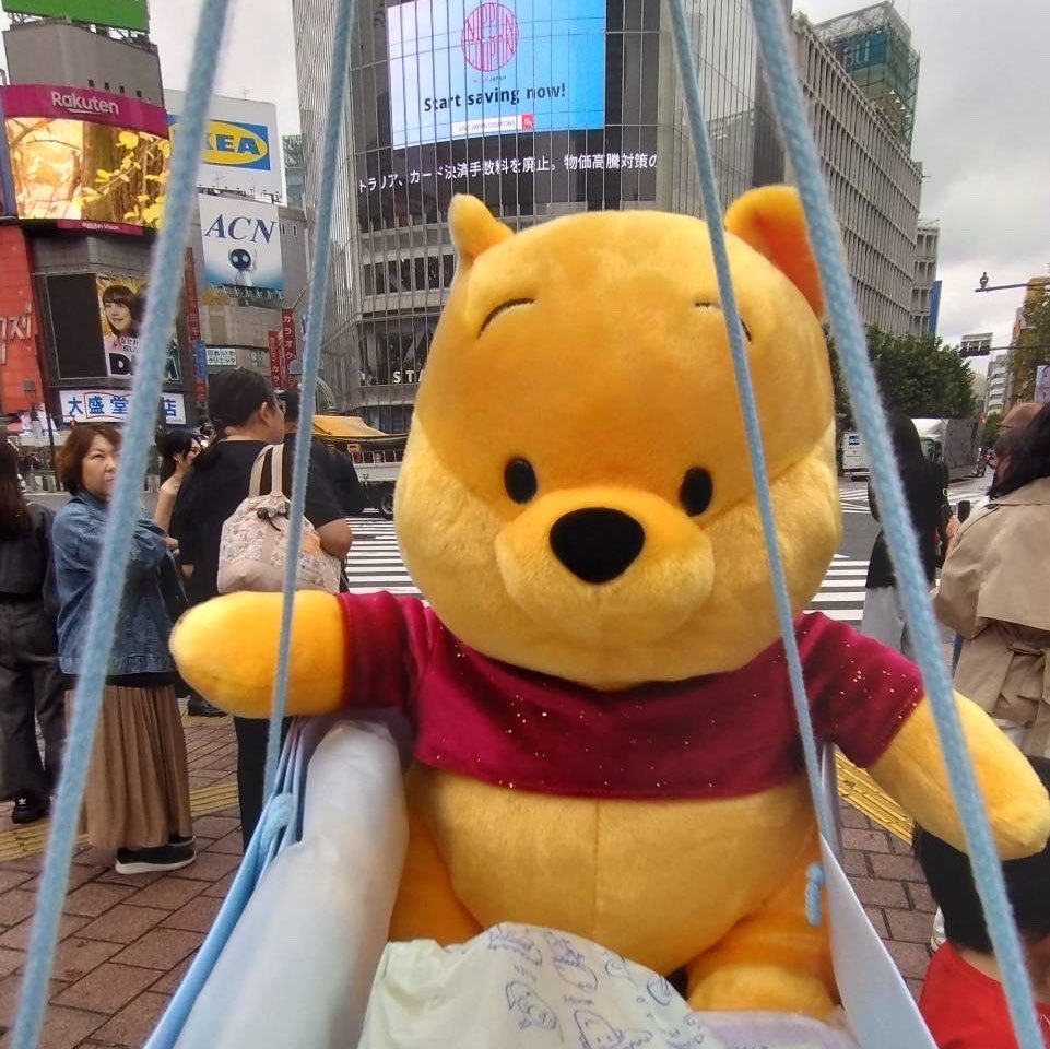 yV8whDylQUeDpMv's tweet photo. うちのプーさんは耳が少しヘタレてるの😂
でもぱっと見てビビビってきたんだよね🤩
それって大切🩷
プーさんとの一期一会🤭
愛着、湧く湧く😍
めっちゃ可愛いよ〜🙌💕🙌

#シャワハー
#プーさん
#羽生結弦 https://t.co/HUSSaSrFIL