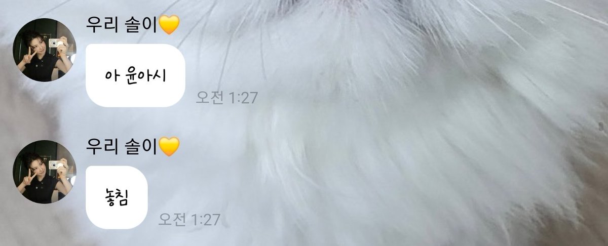 sublae4's tweet photo. 261002

🐤: 아 🐰시 
놓침 https://t.co/ydrQuhIxCO