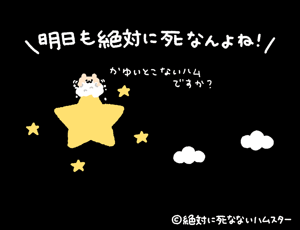 ZETSUHAMU's tweet photo. 今夜も絶ハムスターが見守っているぞ https://t.co/52DmSq3MyY