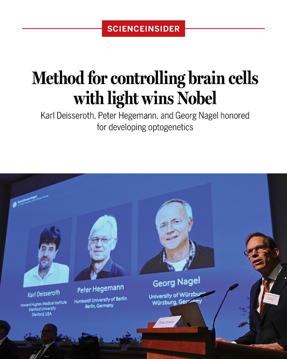 NewsfromScience's tweet photo. The creators of a powerful way to control brain cells with light, which has clarified nerve circuits in healthy and diseased brains, have been honored with this year’s #NobelPrize in Physiology or Medicine.

Learn more: https://t.co/7qfadR27gh https://t.co/cY8vHEhp80