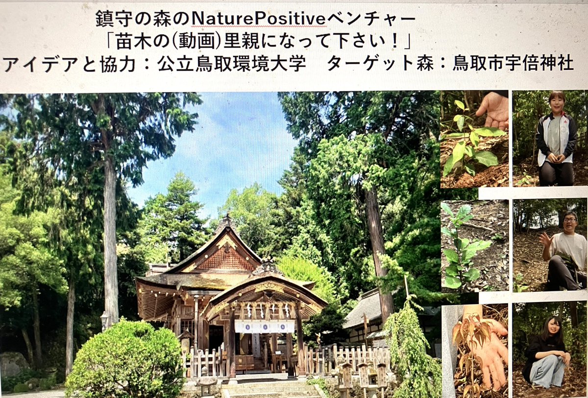 Tomomichikobaya's tweet photo. ネイチャーポジティブと企業の経済的利益を両立させる、ささやかでシンプルなプロジェクトをやっと世に出しました。頭をひねり汗をかき。
https://t.co/hPKHBJUMTw

皆さん、苗木の里親になってください。 https://t.co/BWPEQZTHF2