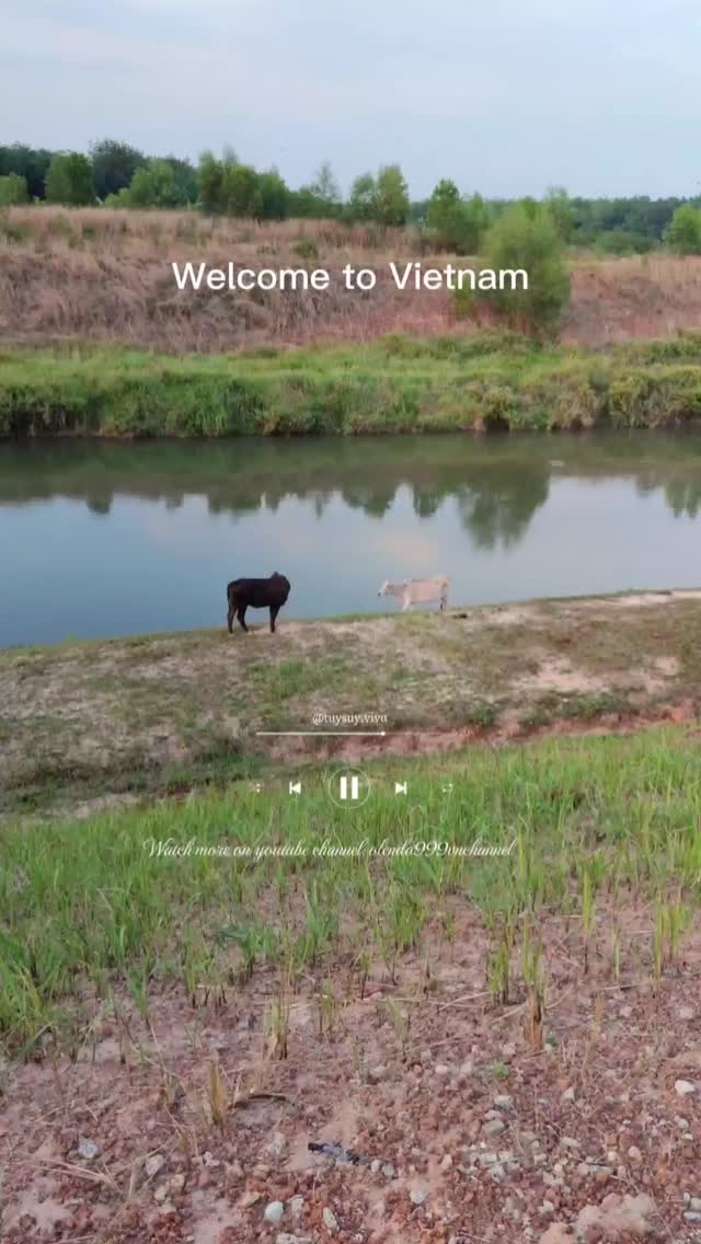 iLoleM's tweet photo. Tuy phong cảnh không quá ngoạn mục, nhưng vẻ đẹp tự nhiên cùng tiếng chim hót nơi đây thật chữa lành. Bạn có muốn tản bộ ở đây không? https://t.co/9FuKQz82LH