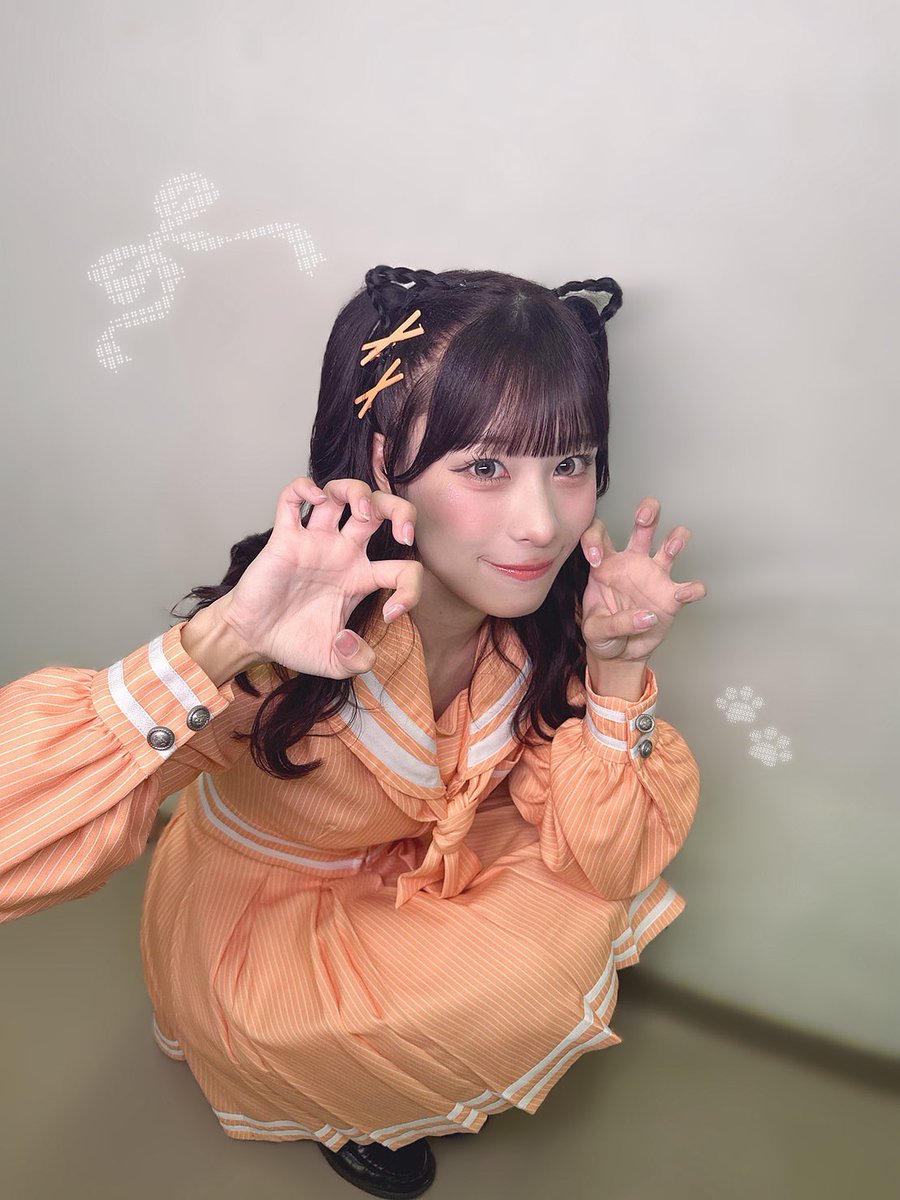 takahashi_mai__'s tweet photo. 猫舞𑁊^. .^𑁊 https://t.co/EfsilO7oga