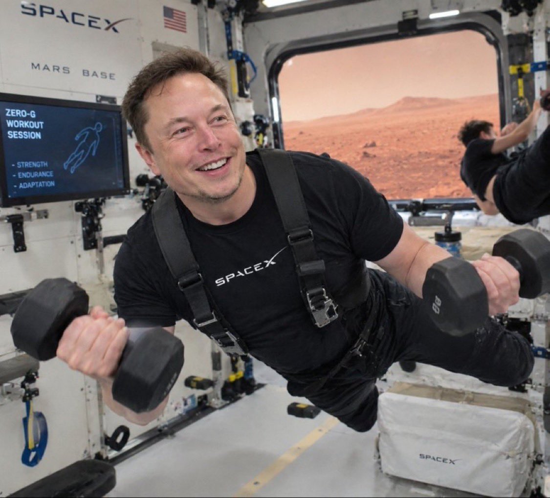 CEOMUSKtocu's tweet photo. Elon Musk offers you a Mars base with zero-G workouts. Would you go?

A. Yes
B. Maybe https://t.co/52uou8GCga