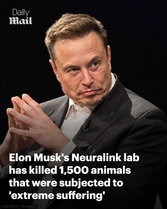 Bliadhnaichean's tweet photo. #FreePalestine🇵🇸
#FreeLebanon🇱🇧
#FYEM/#FUCKyouElOnMusk💰🍑
#GoodAfternoon Everyone,it's #MONgrelsDAY the 5th of October 2026 Today !
🤨
#7000And1
#ENGLISH🏴🇬🇧/#Yankish🇺🇸
#RememberMongrels🦊🐱🐩🐦
#GAZA_HOLOCAUST🇵🇸
#BDS🇺🇸/#DASTI🇮🇱
#tRUMPland卐🇮🇱🏴☠️🇺🇸:Day 625
@realDonaldtRUMP🤪☣👹 https://t.co/RVWHYqmogK