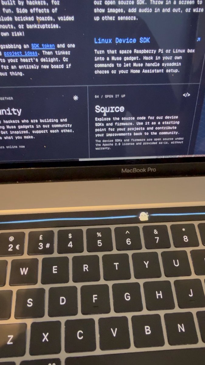 Video preview; watch the original post on X