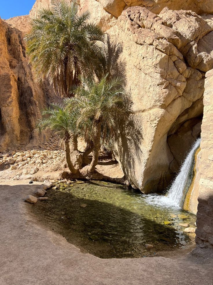tfraahw's tweet photo. 🌱 حافظوا على الطبيعة، فهي ليست مجرد مكان نعيش فيه، بل بيتنا الجميل الذي يستحق منا الحب والعناية. 💚🌍♻️ https://t.co/eHAAOpwFDD