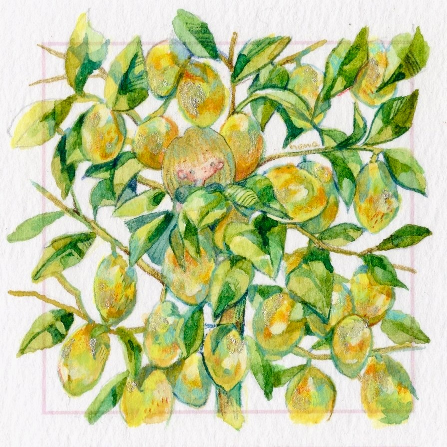 87do's tweet photo. #レモンの日 🍋 https://t.co/zT0USiyaM4