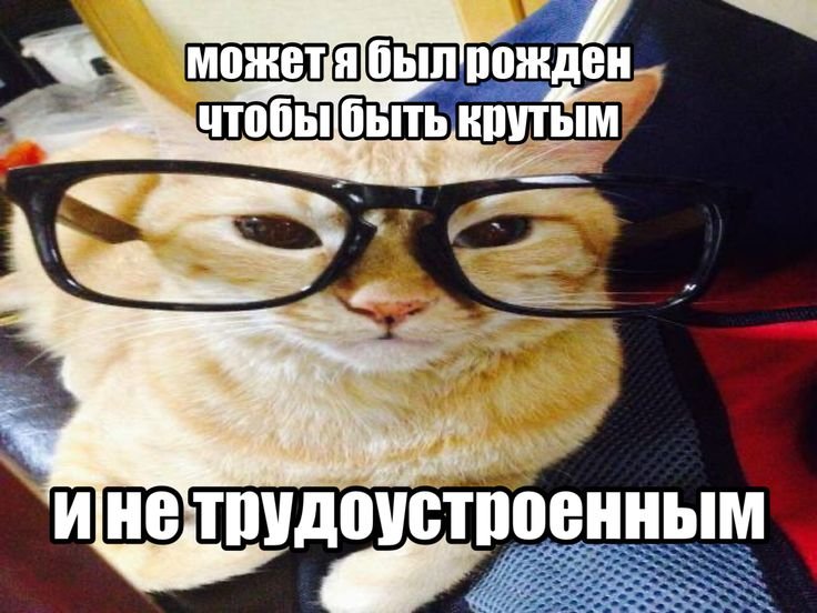 ttadarlee's tweet photo. @D0P3M1N7 https://t.co/CsaaMTEfkb