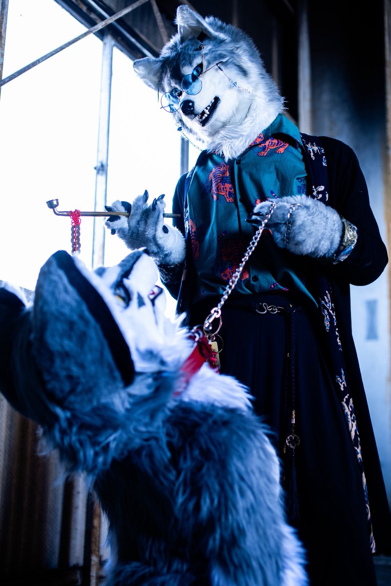 0909Stella's tweet photo. 可哀想は可愛いね⛓️
📷#wolfroof
#FursuitEveryday https://t.co/MXzWqOMj0B