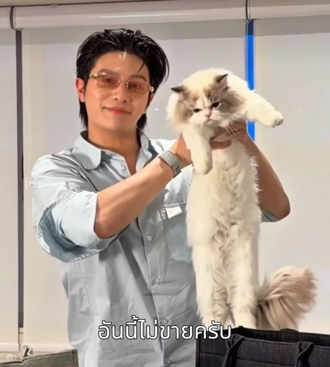 underthesamsky_'s tweet photo. ปะป๊าวิลเลี่ยมบอกว่าอันนิ้ไม่ขายคับบ 🐱🤏🏻 https://t.co/3JDSMi5mWr