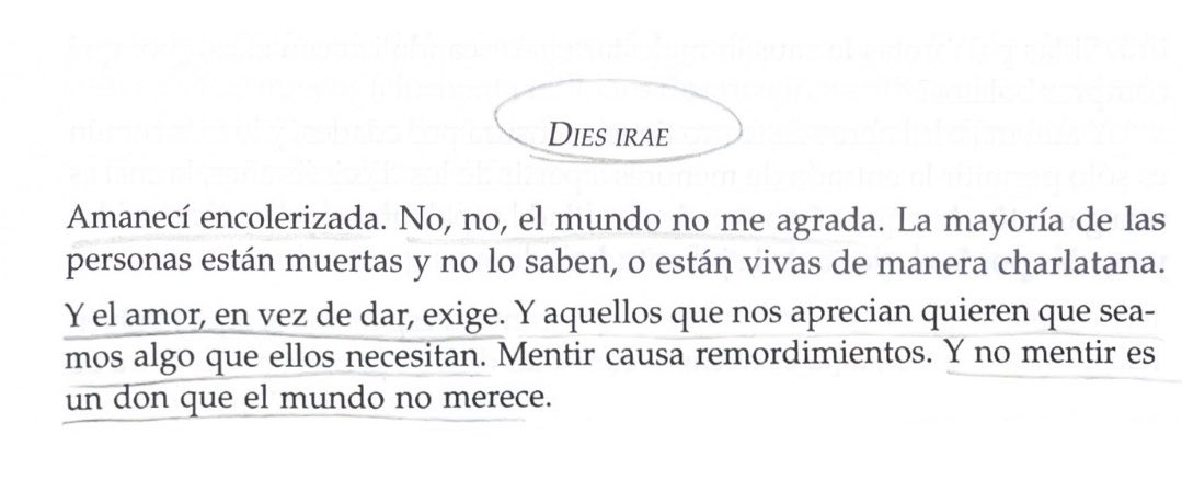 pidoelsilencio's tweet photo. amanecí encolerizada como Clarice Lispector https://t.co/Dw4ddu9pKF