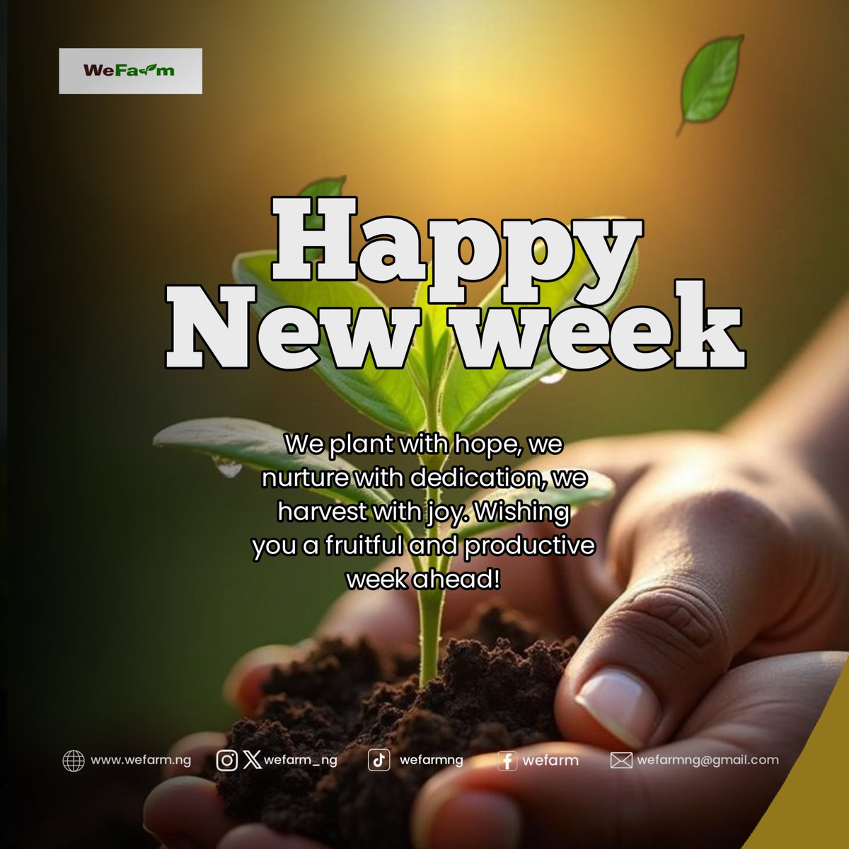 wefarm_ng's tweet photo. Every seed planted is the beginning of a better future.
Happy new week.
#X
#fyp
#wefarmng
#agriculture https://t.co/EoitJCff7Y