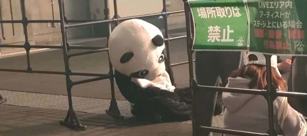 para_genta's tweet photo. ワチャの湯で大人気だった
パンダさん
岡山のフェス
エイトボールで見かけたパンダさんと
同一なのか気になるところw
ちなみにコレは
疲れ果てて居眠りの図www https://t.co/xCNnp31oiW