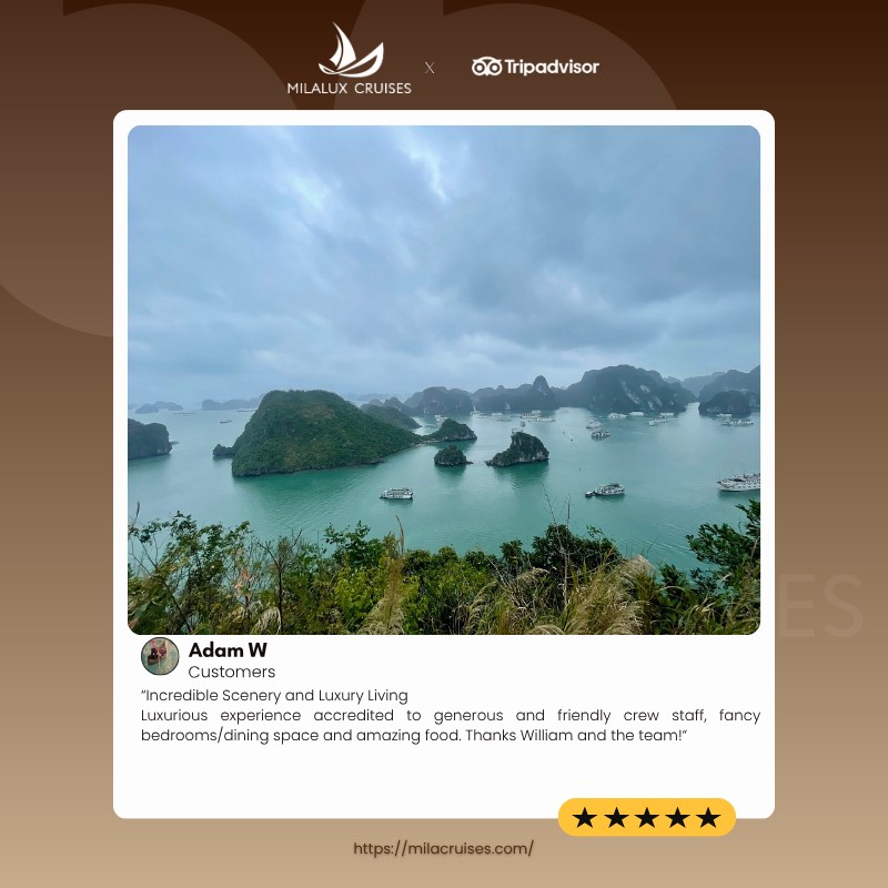 andrea082212's tweet photo. A memorable journey is shaped by simple things: a comfortable room, stunning views, delicious meals, and thoughtful service. Thank you for trusting Milalux Cruises to create unforgettable Ha Long Bay experiences. https://t.co/so2v8gW8oO