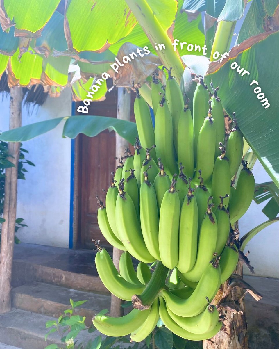 csknebru's tweet photo. A short glimpse of my first week volunteering at Assalam, Zanzibar. https://t.co/KaYlmvPlQK