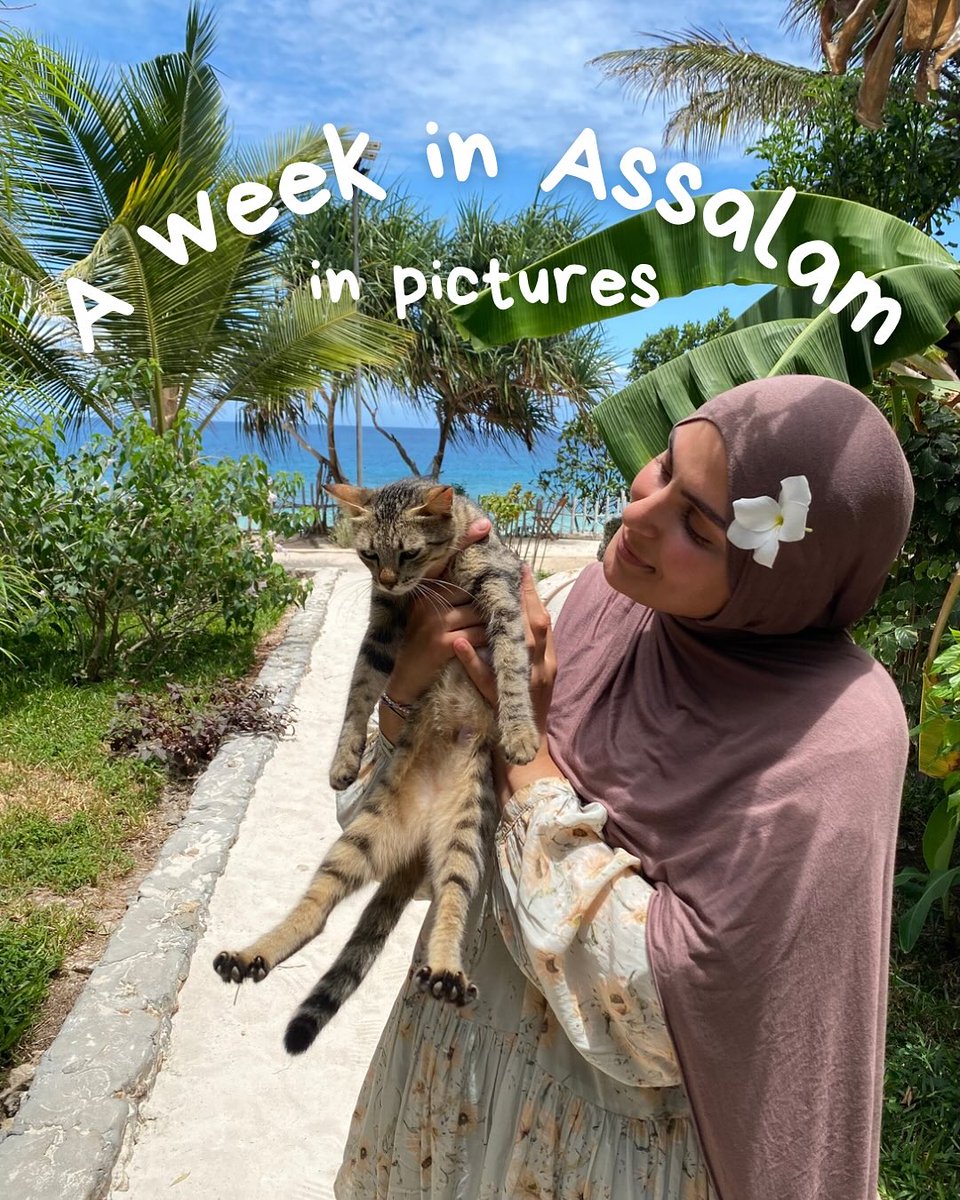 csknebru's tweet photo. A short glimpse of my first week volunteering at Assalam, Zanzibar. https://t.co/KaYlmvPlQK