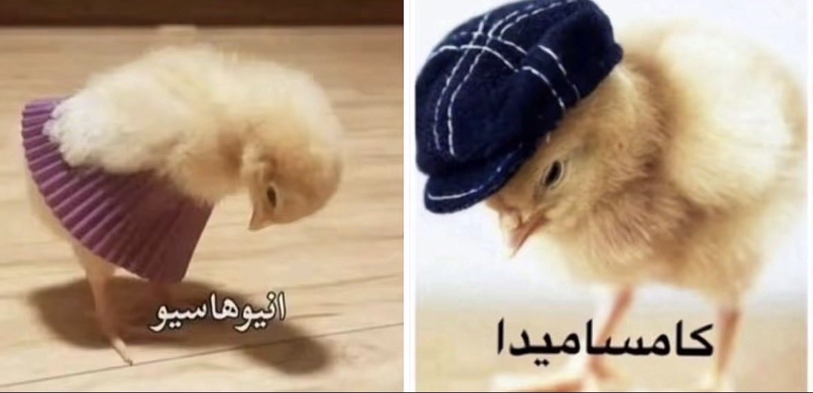 maroon3a's tweet photo. اعشق ذي الستيكرات
 كامساميدا🫰🏿 https://t.co/d0GIUEaAmu