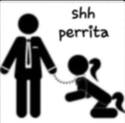 Bibibyebyebs's tweet photo. @EosAv16 Literalmente el: https://t.co/Fi23RKN1qk