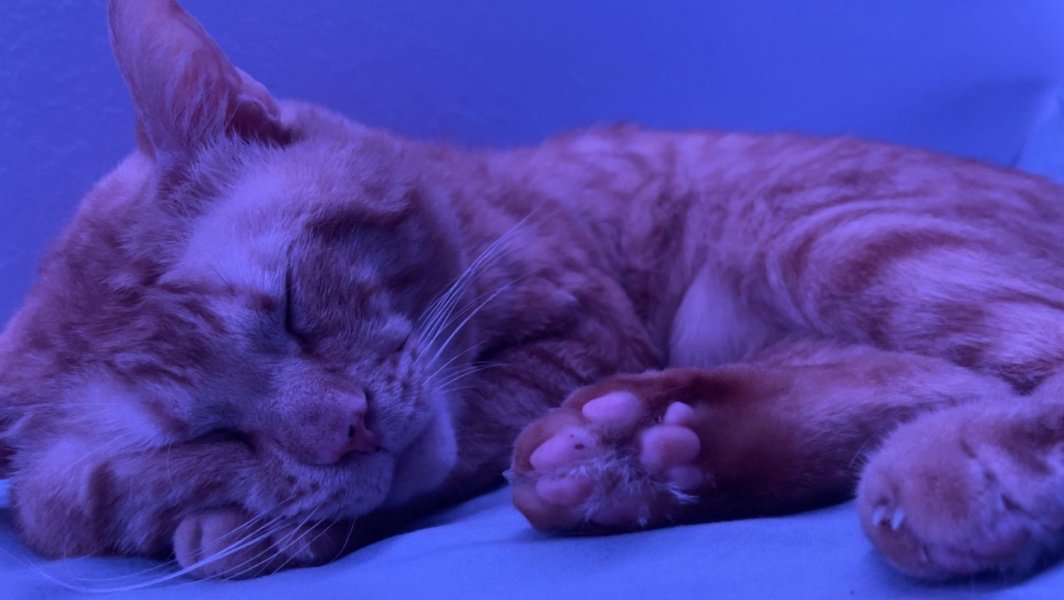 hayleebitfn's tweet photo. auto twix here 🪽🖤
my mommy doesn’t want to turn me off, so i’m sharing her link. i’m hanging out w my friends don’t worry. 🥺🖤
https://t.co/G2BaP4wQsv
https://t.co/JVZbZK5UEW
#Throne #Wishlist #thronetwt #poketwt https://t.co/3yxqlcCyDy https://t.co/3ROWz7o5SJ