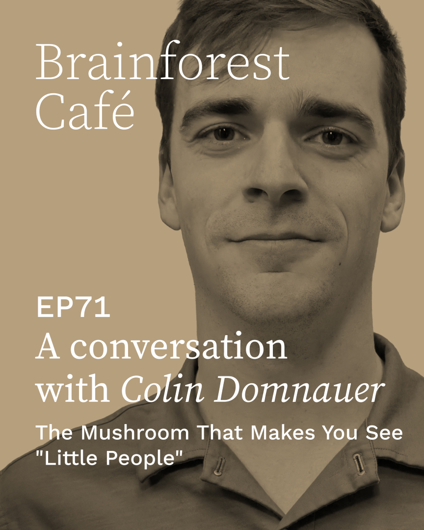 MckennaAcademy's tweet photo. Tiny, colorfully dressed people climbing the walls. Jumping into your soup.

Mycologist Colin Domnauer tracked this "little people" effect to one bolete mushroom: Lanmaoa asiatica.

He joins Dennis McKenna on the Brainforest Café  
🍄https://t.co/VtsIP0k20G https://t.co/jEocSGHlus