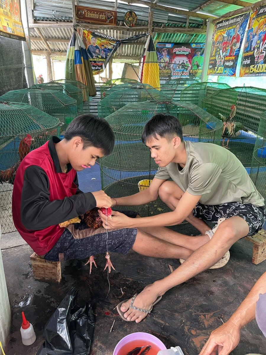 RNthr92487's tweet photo. 2 พี่น้อง🤫💸 #กันทรลักษ์ #อุบลราชธานี #นัดเจอ #เดชอุดม https://t.co/twYcYSWIzQ