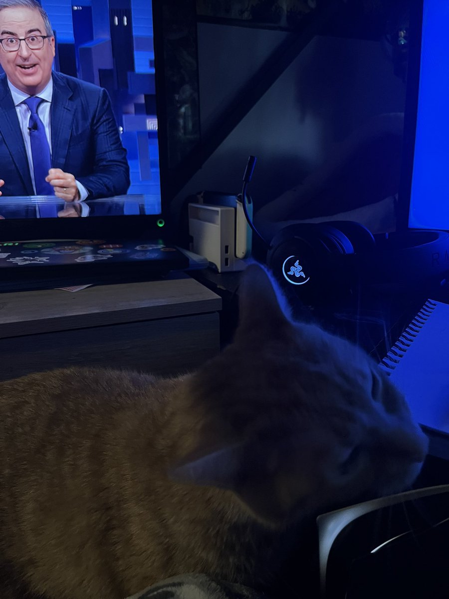Buniveree's tweet photo. Here’s Ichigo rubbing on my sketch book while John Oliver plays in the background.
#fyp #morning #midwestmorning #cat #CatsOnX #cat #orangetabby #strawberrycat https://t.co/wueUQSmumc