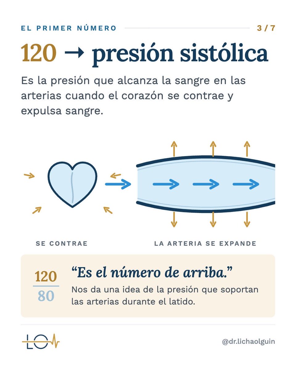 drlichaolguin's tweet photo. Ahora que ya sabés qué significan los valores que ves cuando te tomás la presión, el siguiente paso es saber si tu presión está bien 😉
#cardiologia #medicina #salud #presionarterial #hipertensionarterial https://t.co/jxZLeiMp2s