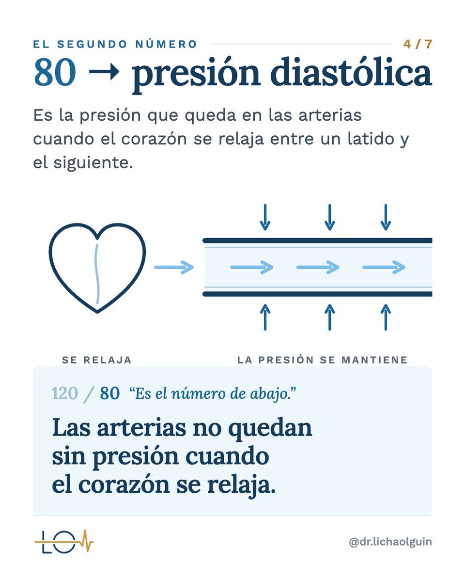 drlichaolguin's tweet photo. Ahora que ya sabés qué significan los valores que ves cuando te tomás la presión, el siguiente paso es saber si tu presión está bien 😉
#cardiologia #medicina #salud #presionarterial #hipertensionarterial https://t.co/jxZLeiMp2s