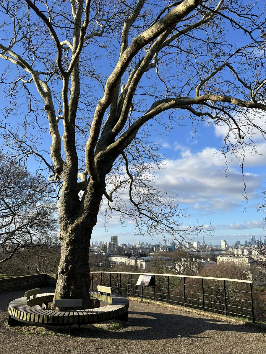 TiCLme's tweet photo. So why is the tree app #TiCLView suddenly talking about #toposcopes and #viewpoints
guess we’re #branchingout …
https://t.co/xVd1bUjl5r https://t.co/QWB1ojOJok
