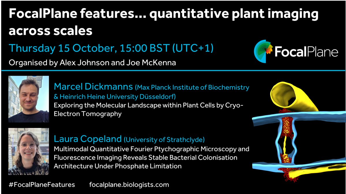 focalplane_jcs's tweet photo. Our list includes a preprint from Laura Copeland on using Fourier Ptychographic Microscopy to image live botanical specimens: https://t.co/Htc4IxzSuM

We’ll be hearing from Laura at our upcoming FocalPlane features… webinar. To register: https://t.co/giVmWhdjKr https://t.co/BeZjrUE3pP