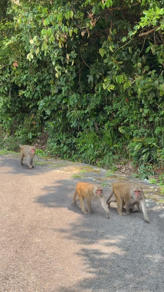 dchjohana's tweet photo. Beautiful Vietnam, where every journey becomes a memory. https://t.co/7vLjIvBJn3