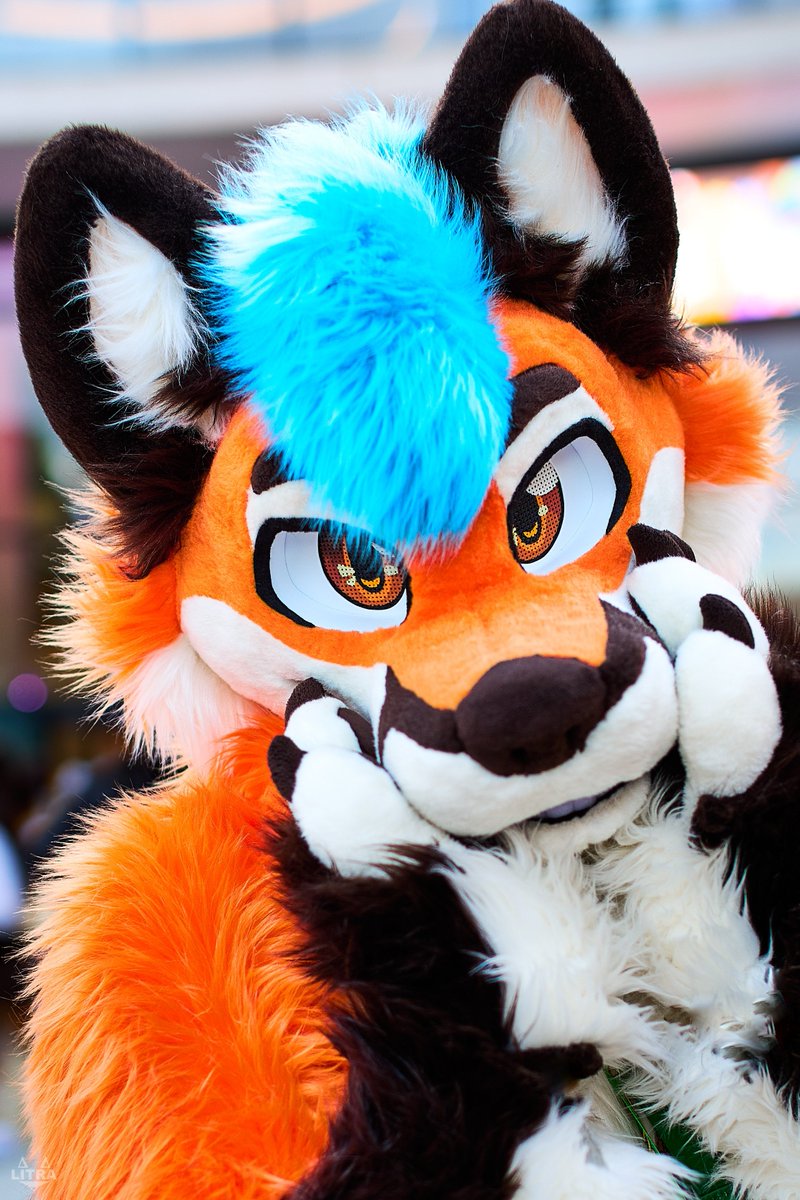 Nyuff_TheFox's tweet photo. Here's a cute fox to brighten up your day 🤗
I hope your week is going to be awesome! 🙂‍↕️

📸 Litra_Fox (Furtrack) https://t.co/RRJAysGl6J