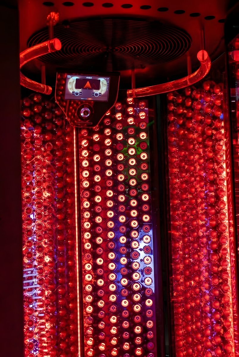 SmartSolarium's tweet photo. 🔴 This is not just red light.
RUBY ARES PRO delivers full-body, multi-wavelength photobiomodulation with:
633 nm • 660 nm • 850 nm NIR
Built for recovery, performance and advanced wellness.
Go full body. Go ARES.
#Photobiomodulation #RedLightTherapy #Biohacking https://t.co/1ltNpmhYR4
