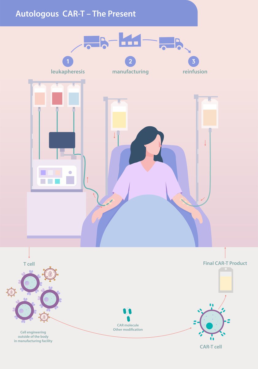 onechaintx's tweet photo. In Vivo CAR-T therapy has many benefits, this is why at OneChain, we’ve developed a next-generation lentiviral in vivo CAR-T platform.
 
Learn more about it in the infographic, or visit https://t.co/gSPAMUa9BU 
 
#CART #AdvancedTherapies #Biotech https://t.co/I8BbCIhUEs