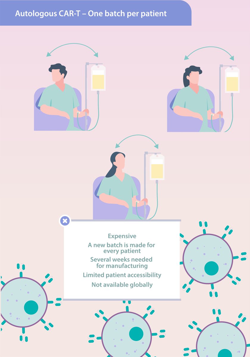 onechaintx's tweet photo. In Vivo CAR-T therapy has many benefits, this is why at OneChain, we’ve developed a next-generation lentiviral in vivo CAR-T platform.
 
Learn more about it in the infographic, or visit https://t.co/gSPAMUa9BU 
 
#CART #AdvancedTherapies #Biotech https://t.co/I8BbCIhUEs