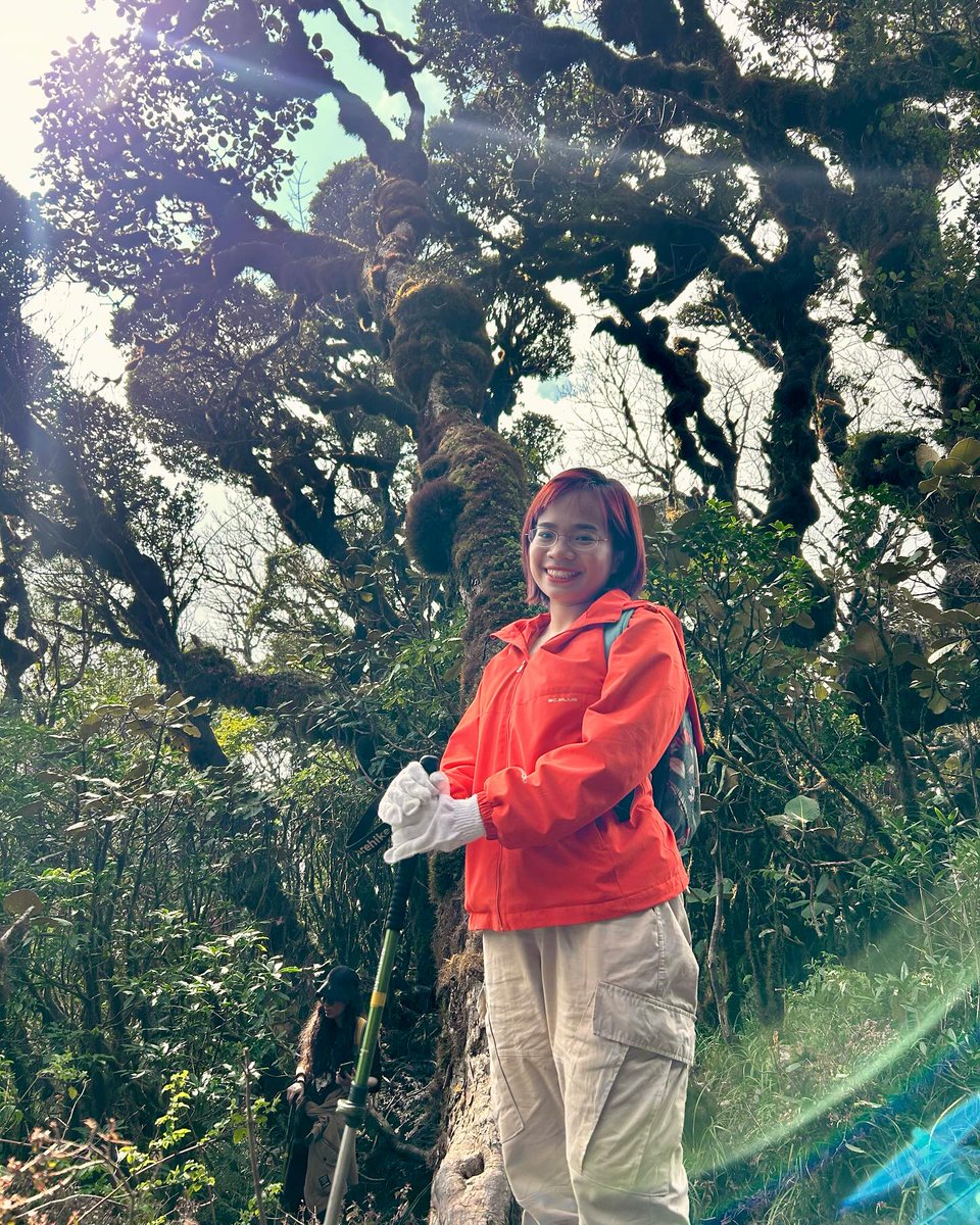 beatriz_vtobio's tweet photo. Có vẻ như mình chưa thể giải nghệ trekking. Chinh phục đỉnh Phu Sa Phin, giữa biển mây, núi non và rừng cổ thụ đầy mê hoặc. https://t.co/KAlEAJ6l2M