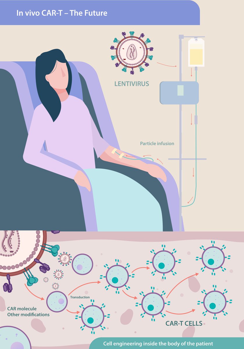 onechaintx's tweet photo. In Vivo CAR-T therapy has many benefits, this is why at OneChain, we’ve developed a next-generation lentiviral in vivo CAR-T platform.
 
Learn more about it in the infographic, or visit https://t.co/gSPAMUa9BU 
 
#CART #AdvancedTherapies #Biotech https://t.co/I8BbCIhUEs