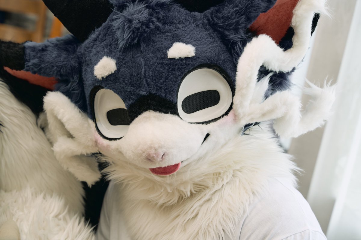 YN971106's tweet photo. ❓❓❓❓❓

💙@NyongShin 
📸@kemochuki https://t.co/f06O3ov0Ml